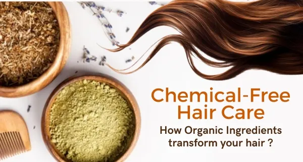 The Rise of Organic Haircare: Why It’s More Than Just a Trend